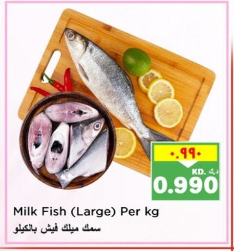 available at Nesto Hypermarkets in Kuwait - Ahmadi Governorate