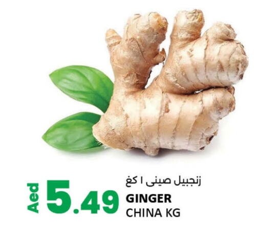 Ginger from China available at LIYAKKAS HYPERMARKET LLC in UAE - Abu Dhabi