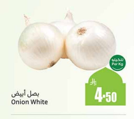 White Onion available at Othaim Markets in KSA, Saudi Arabia, Saudi - Yanbu