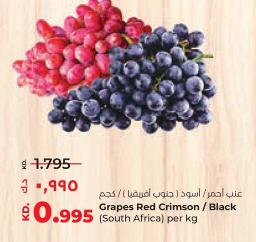 عنب from South Africa available at لولو هايبر ماركت in الكويت - محافظة الأحمدي