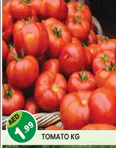 Tomato available at Baniyas Spike  in UAE - Abu Dhabi