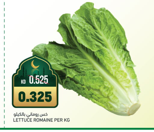 Lettuce available at غلف مارت in الكويت - مدينة الكويت