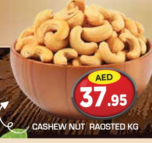 available at سنابل بني ياس in الإمارات العربية المتحدة , الامارات - أبو ظبي