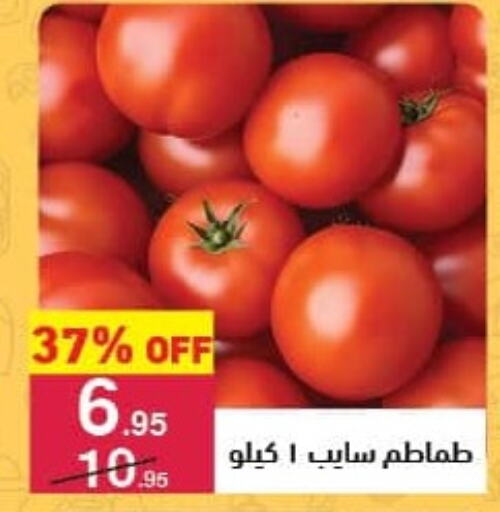 Tomato available at Mahmoud El Far in Egypt - Cairo