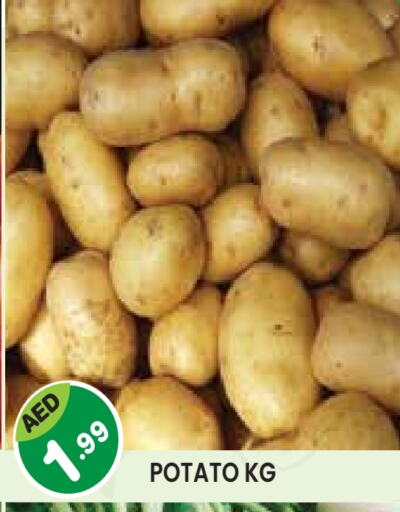 Potato available at Baniyas Spike  in UAE - Abu Dhabi