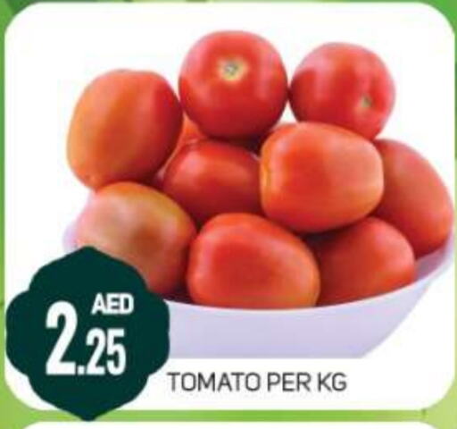 Tomato available at Daylife Hypermarket LLC in UAE - Dubai