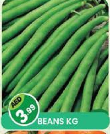 Beans available at Baniyas Spike  in UAE - Umm al Quwain