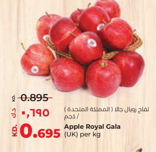 Apples available at Lulu Hypermarket  in Kuwait - Kuwait City