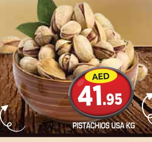 available at سنابل بني ياس in الإمارات العربية المتحدة , الامارات - أبو ظبي