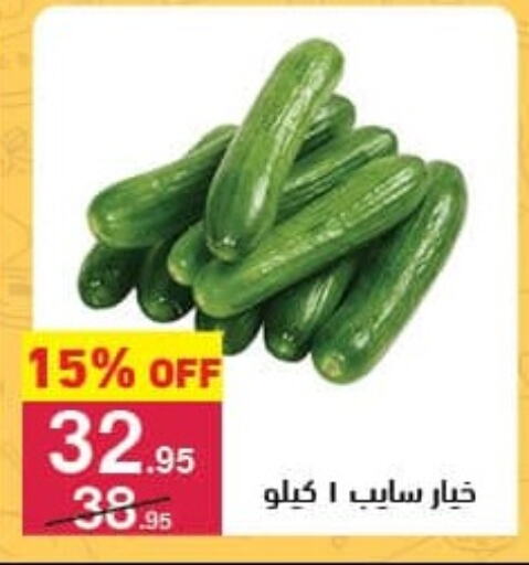 Cucumber available at Mahmoud El Far in Egypt - Cairo