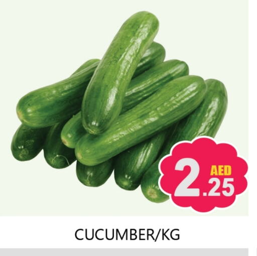 Cucumber available at Souk Al Mubarak Hypermarket in UAE - Sharjah / Ajman