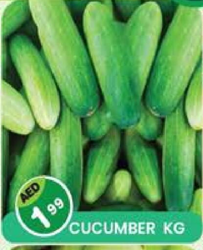 Cucumber available at Baniyas Spike  in UAE - Ras al Khaimah