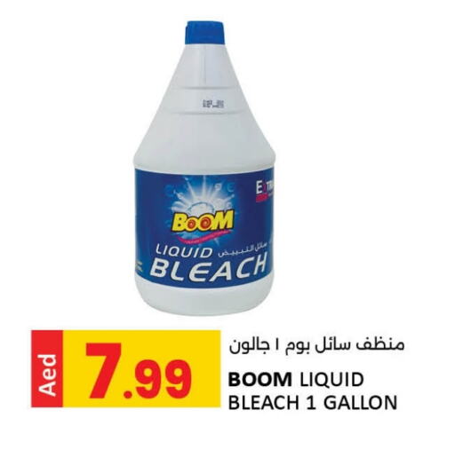 Bleach available at LIYAKKAS HYPERMARKET LLC in UAE - Abu Dhabi