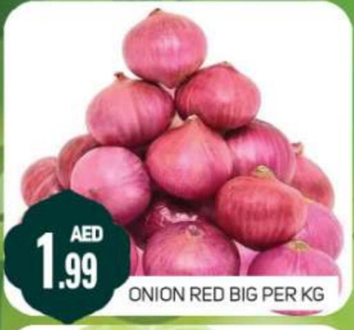 Onion available at Daylife Hypermarket LLC in UAE - Dubai