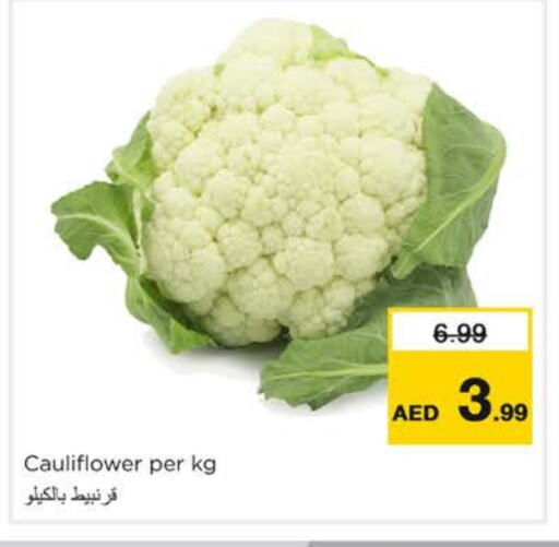 available at Nesto Hypermarket in UAE - Ras al Khaimah