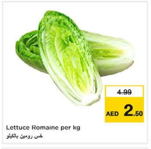 Lettuce available at نستو هايبرماركت in الإمارات العربية المتحدة , الامارات - الشارقة / عجمان