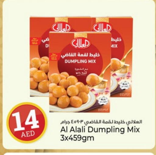 AL ALALI Dumpling mix available at Kenz Hypermarket in UAE - Sharjah / Ajman