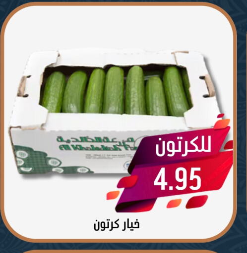 Cucumber available at Joule Market in KSA, Saudi Arabia, Saudi - Al Khobar