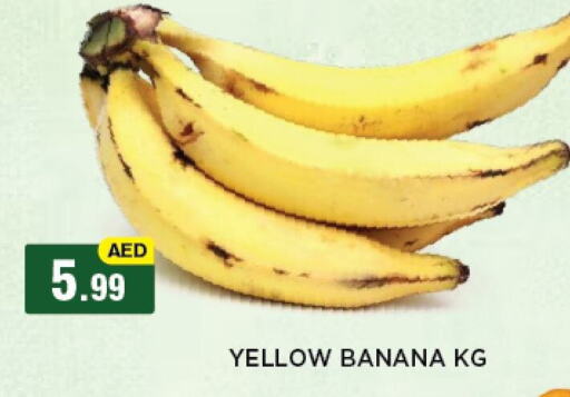 Banana available at أزهر المدينة هايبرماركت in الإمارات العربية المتحدة , الامارات - أبو ظبي