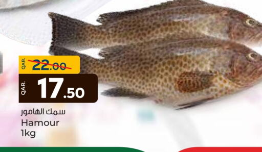 available at باريس هايبرماركت in قطر - الوكرة