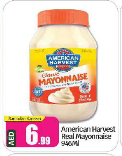 AMERICAN HARVEST Mayonnaise available at BIGmart in UAE - Abu Dhabi