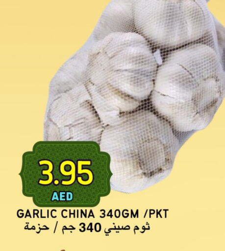 Garlic from China available at Select Market in UAE - Abu Dhabi