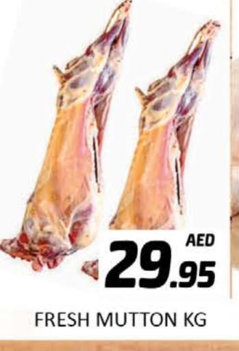 Mutton / Lamb available at Al Madina  in UAE - Dubai