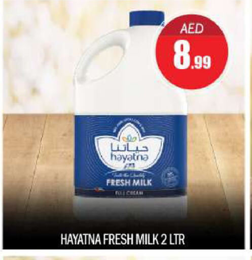 HAYATNA Fresh Milk available at BIGmart in UAE - Abu Dhabi