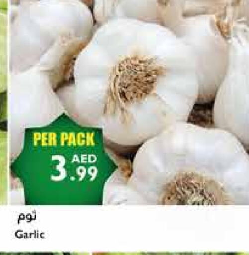 Garlic available at Istanbul Supermarket in UAE - Abu Dhabi