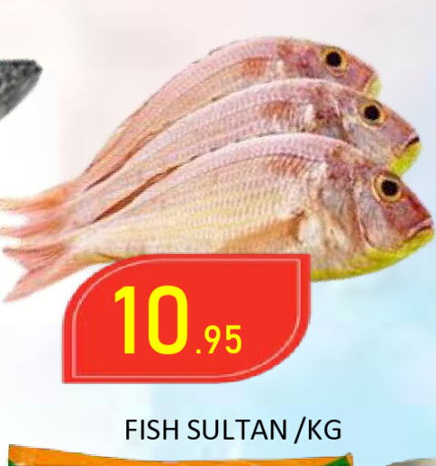 available at ROYAL GULF HYPERMARKET LLC in UAE - Abu Dhabi