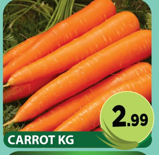 Carrot available at Fresh Spike Supermarket in UAE - Dubai