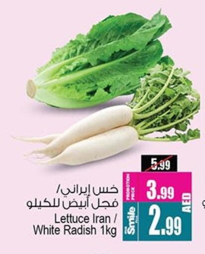 Radish from Iran available at Ansar Gallery in UAE - Dubai