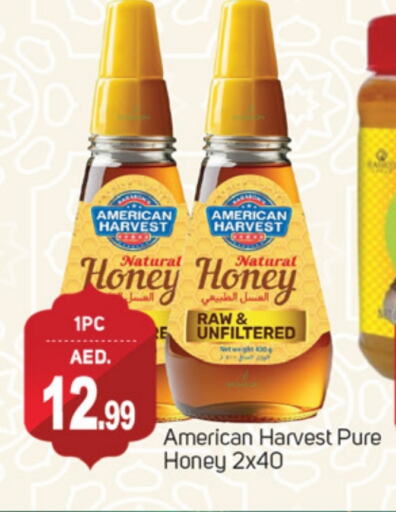 AMERICAN HARVEST Honey available at TALAL MARKET in UAE - Dubai