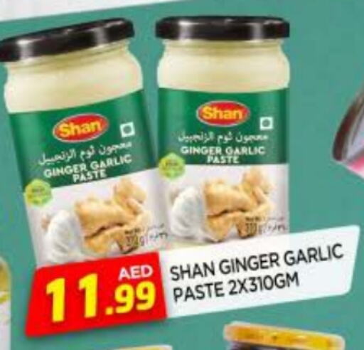 SHAN Garlic Paste available at AL MADINA in UAE - Sharjah / Ajman