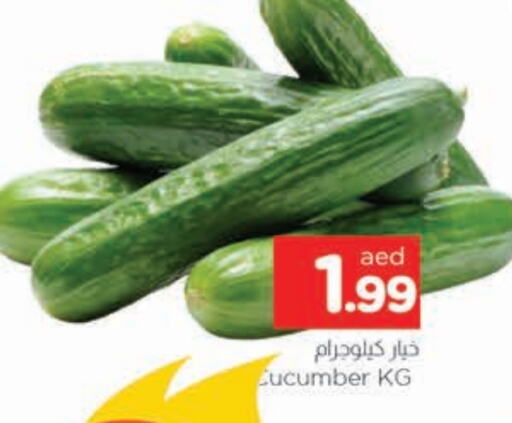 Cucumber available at AL MADINA in UAE - Sharjah / Ajman