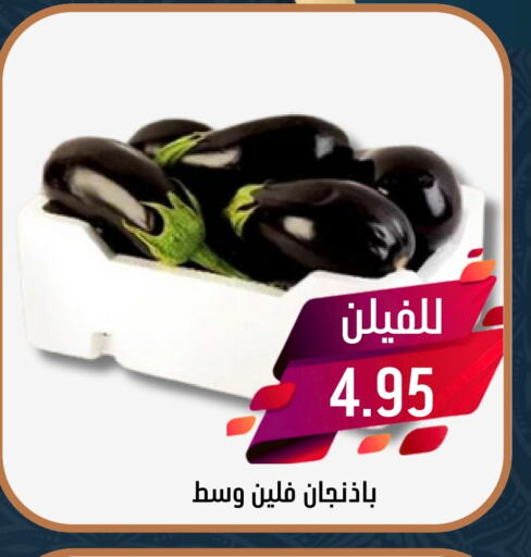 available at Joule Market in KSA, Saudi Arabia, Saudi - Dammam