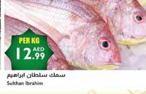 available at Istanbul Supermarket in UAE - Ras al Khaimah