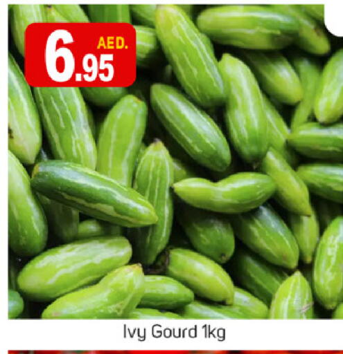 Gourd available at TALAL MARKET in UAE - Sharjah / Ajman