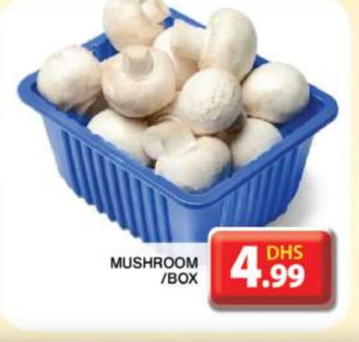 Mushroom available at جراند هايبر ماركت in الإمارات العربية المتحدة , الامارات - دبي