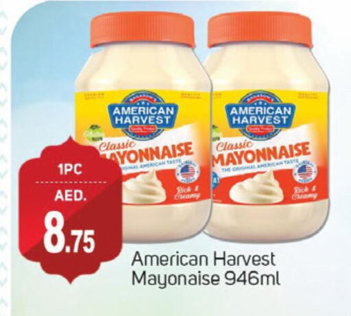 Mayonnaise available at TALAL MARKET in UAE - Dubai