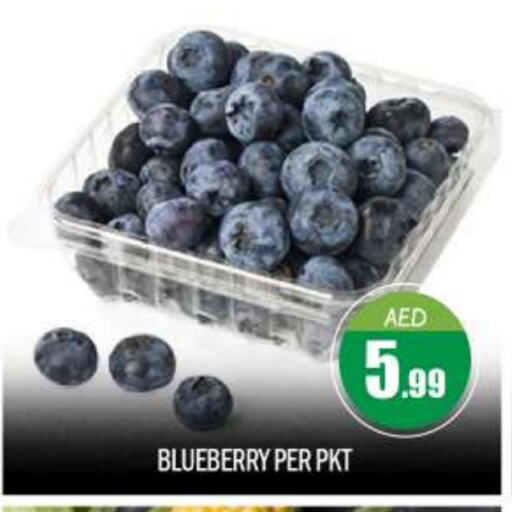 Blueberry BlueBerry available at بيج مارت in الإمارات العربية المتحدة , الامارات - أبو ظبي