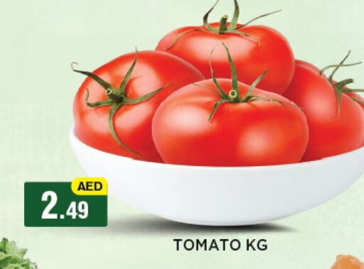 Tomato available at أزهر المدينة هايبرماركت in الإمارات العربية المتحدة , الامارات - أبو ظبي