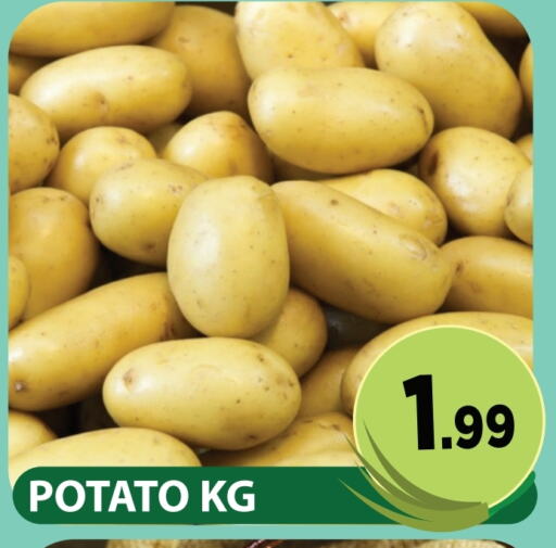 Potato available at Fresh Spike Supermarket in UAE - Dubai