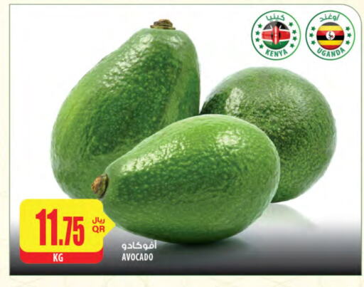 Avocado from Kenya Uganda available at شركة الميرة للمواد الاستهلاكية in قطر - الريان