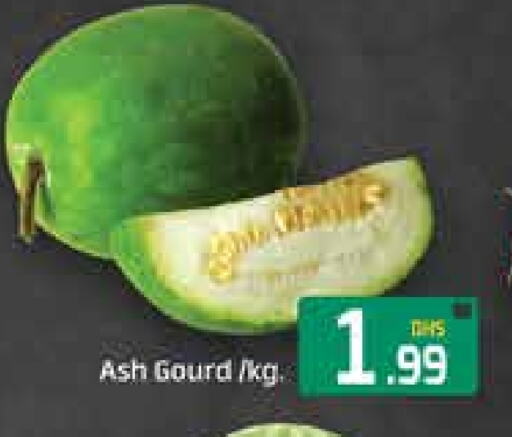 Gourd available at Mango Hypermarket LLC in UAE - Dubai