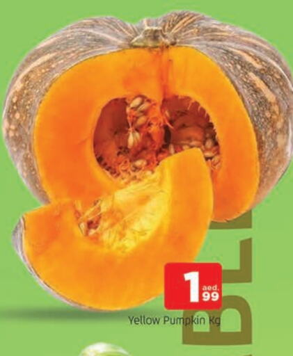 Pumpkin available at المدينة in الإمارات العربية المتحدة , الامارات - الشارقة / عجمان