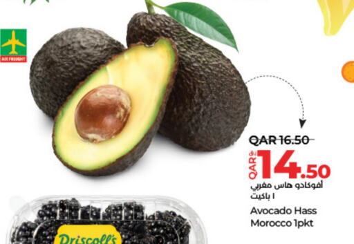 Avacado from Morocco available at LuLu Hypermarket in Qatar - Doha