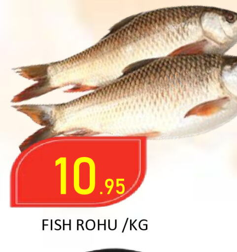 available at ROYAL GULF HYPERMARKET LLC in UAE - Abu Dhabi