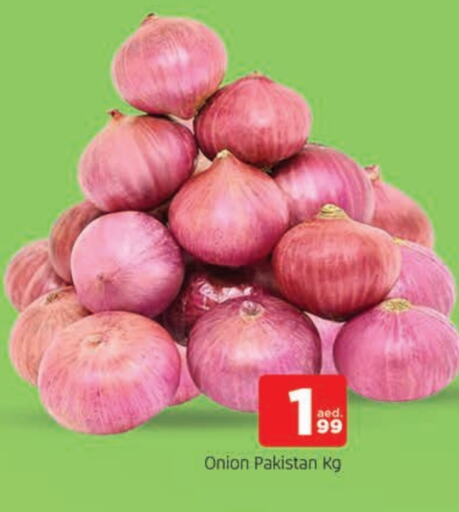 Onion from Pakistan available at AL MADINA in UAE - Sharjah / Ajman