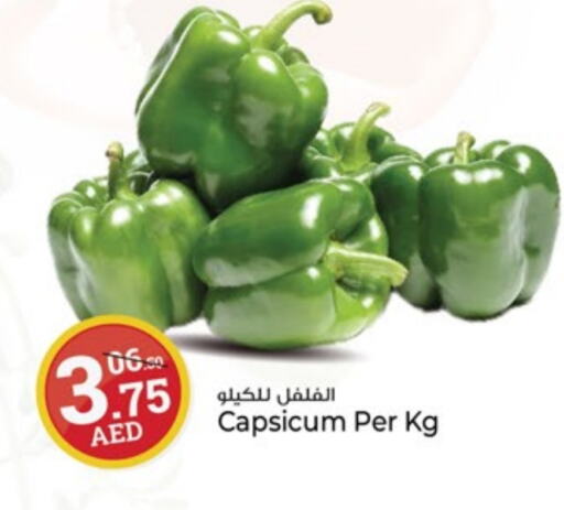 Chilli / Capsicum available at Kenz Hypermarket in UAE - Sharjah / Ajman